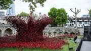 poppies tower of london