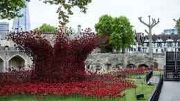 poppies tower of london