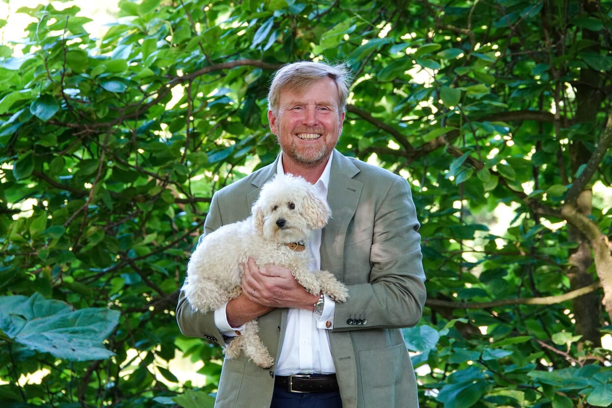 king willem-alexander mambo