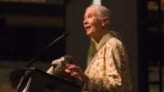 Jane Goodall