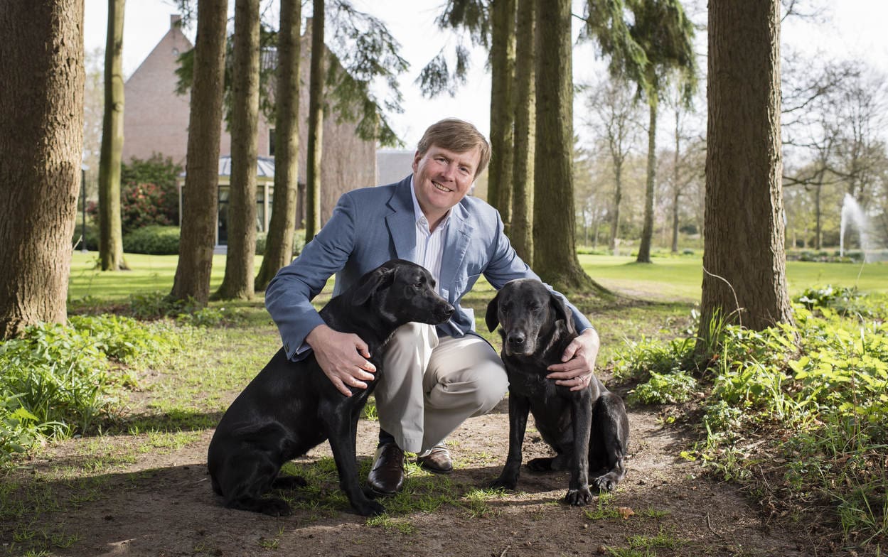 koning willem-alexander